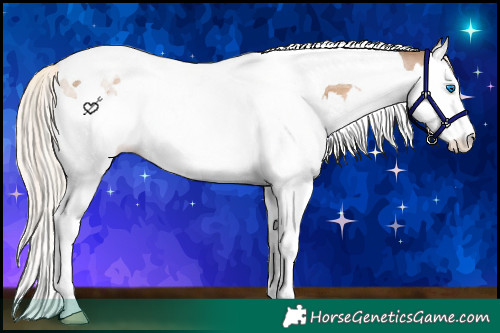 Horse Color:Chocolate Palomino Pearl Splash Tobiano