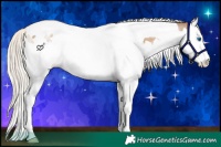 Horse Color:Chocolate Palomino Pearl Splash Tobiano 