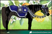 Horse Color:Void Liver Chestnut Tobiano Rabicano 