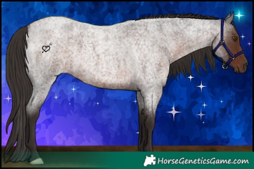 Horse Color:Liver Red Roan