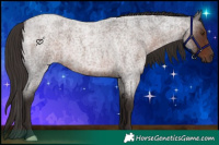 Horse Color:Liver Red Roan 
