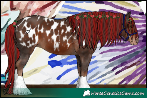 Horse Color:Painted Liver Chestnut Near Leopard