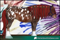Horse Color:Painted Liver Chestnut Near Leopard 