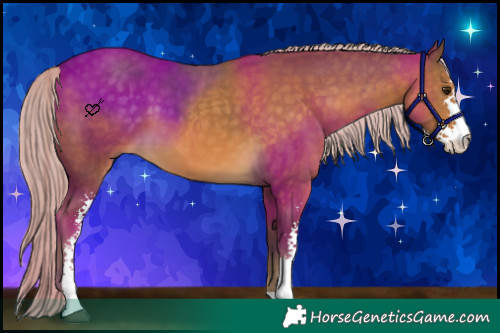 Horse Color:Chocolate Palomino Sabino 