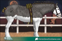 Horse Color:Painted Liver Chestnut Ice Splash 