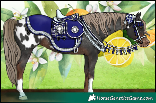 Horse Color:Liver Chestnut Blanket 