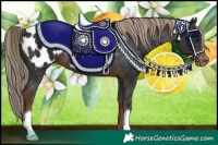 Horse Color:Liver Chestnut Blanket 
