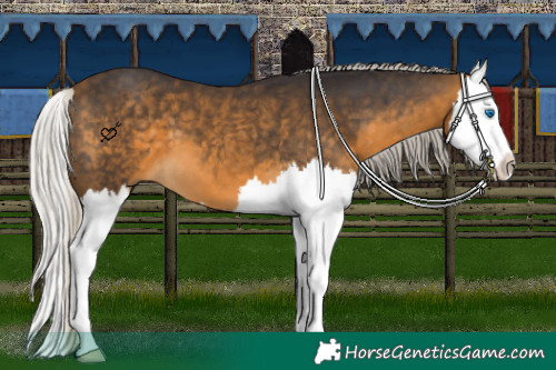 Horse Color:Silver Buckskin Splash