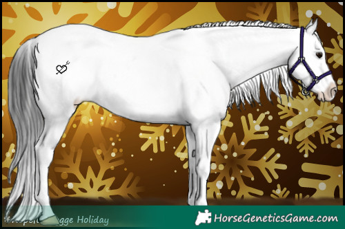 Horse Color:White Spotted Brown Splash