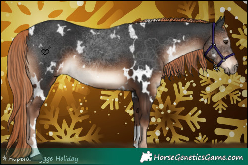 Horse Color:White Spotted Liver Chestnut 