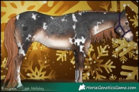 Horse Color:White Spotted Liver Chestnut 