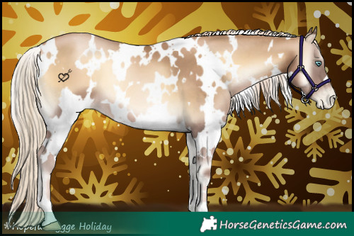Horse Color:White Spotted Chocolate Palomino Pearl Onyx 