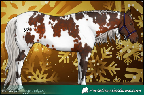 Horse Color:White Spotted Silver Brown