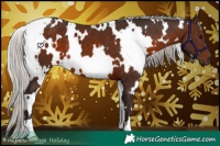 Horse Color:White Spotted Silver Brown 