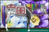 Horse Color:Painted Black Appaloosa 