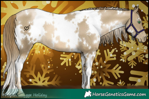 Horse Color:White Spotted Smoky Black Pearl