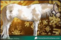 Horse Color:White Spotted Smoky Black Pearl 