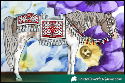 Horse Color:Silver Brown Dun Sabino 