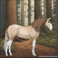 Horse Color:Grullo Pearl Splash 