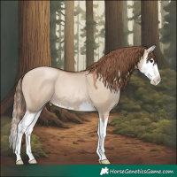 Horse Color:Grullo Pearl Splash 