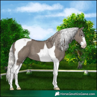 Horse Color:Silver Grullo Splash Tobiano 