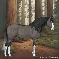 Horse Color:Grullo Splash 