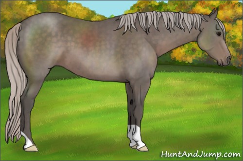 Horse Color:Silver Black 