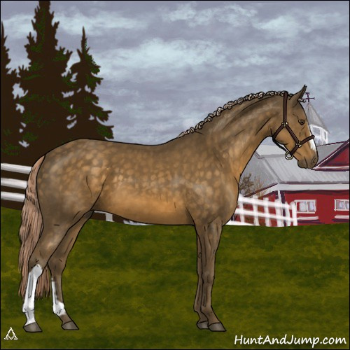 Horse Color:Chocolate Palomino 