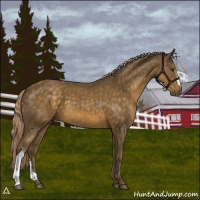 Horse Color:Chocolate Palomino 