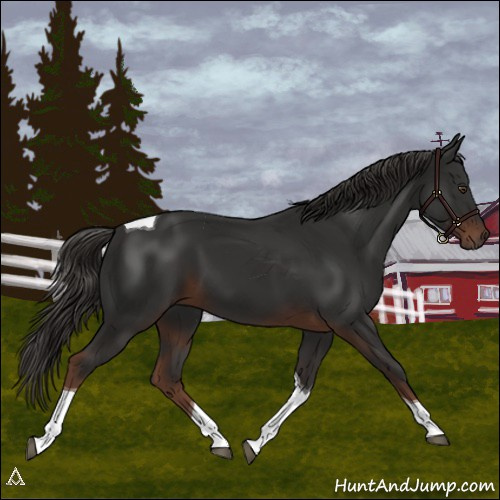 Horse Color:Liver Chestnut Tobiano
