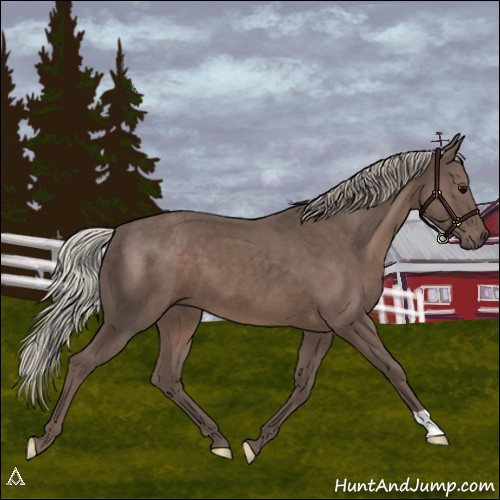 Horse Color:Silver Black 