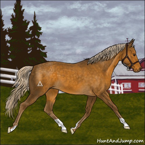 Horse Color:Chocolate Palomino 