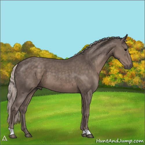 Horse Color:Silver Black 