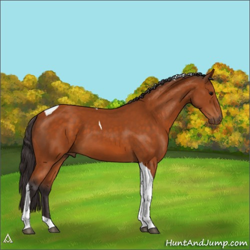 Horse Color:Buckskin Tobiano 
