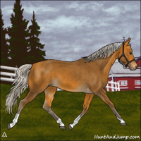 Horse Color:Silver Buckskin Tobiano 