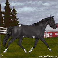 Horse Color:Smoky Black Tobiano 