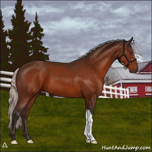 Horse Color:Silver Brown 