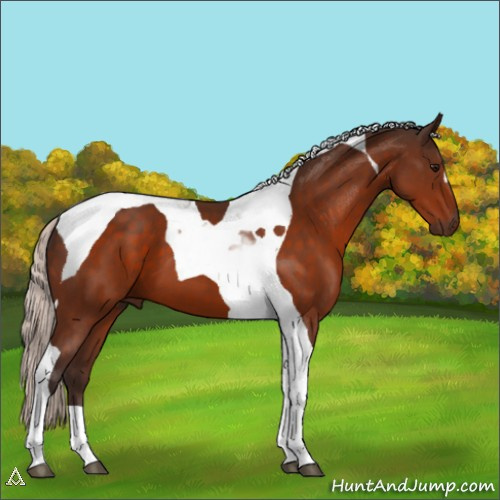 Horse Color:Silver Bay Tobiano 