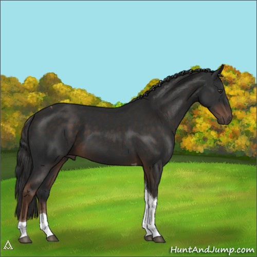 Horse Color:Liver Chestnut Tobiano 