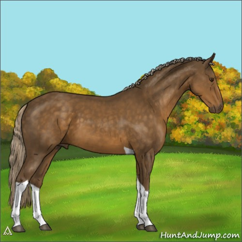 Horse Color:Chocolate Palomino Tobiano 