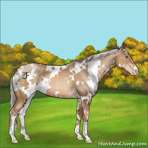 Horse Color:White Spotted Liver Chestnut Pearl 