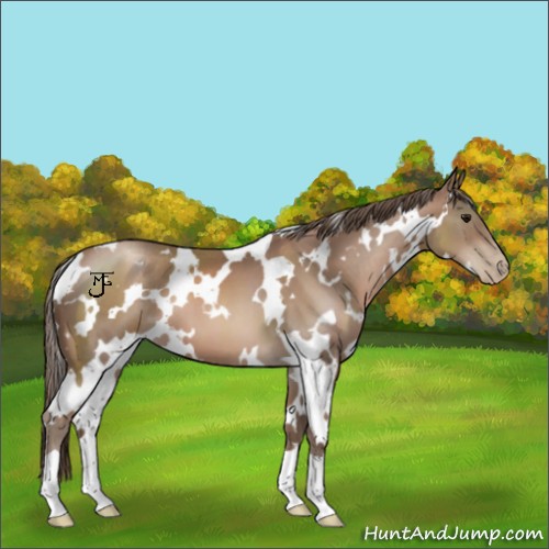 Horse Color:White Spotted Black Pearl 
