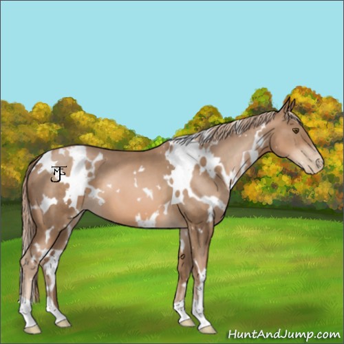Horse Color:White Spotted Liver Chestnut Pearl 