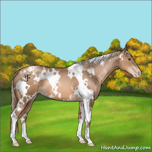Horse Color:White Spotted Liver Chestnut Pearl 