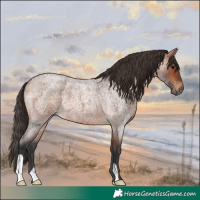 Horse Color:Bay Roan 