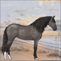 Horse Color:Smoky Grullo 