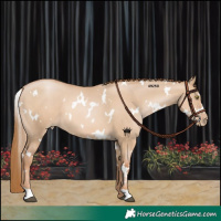 Horse Color:White Spotted Red Dun Pearl 