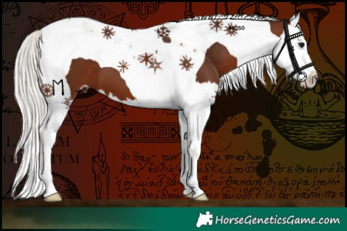 Horse Color:Silver Bay Splash Tobiano 