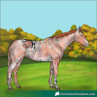 Horse Color:ERROR: UNKNOWN ANOMALY