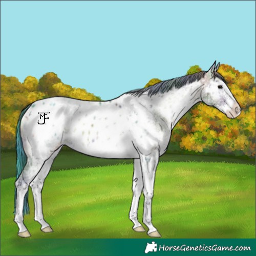 Horse Color:Nacre White Spotted Brown Ice Onyx Near Leopard 